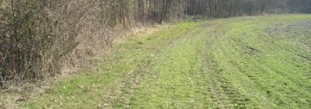 loucka-pc-3787-prehled