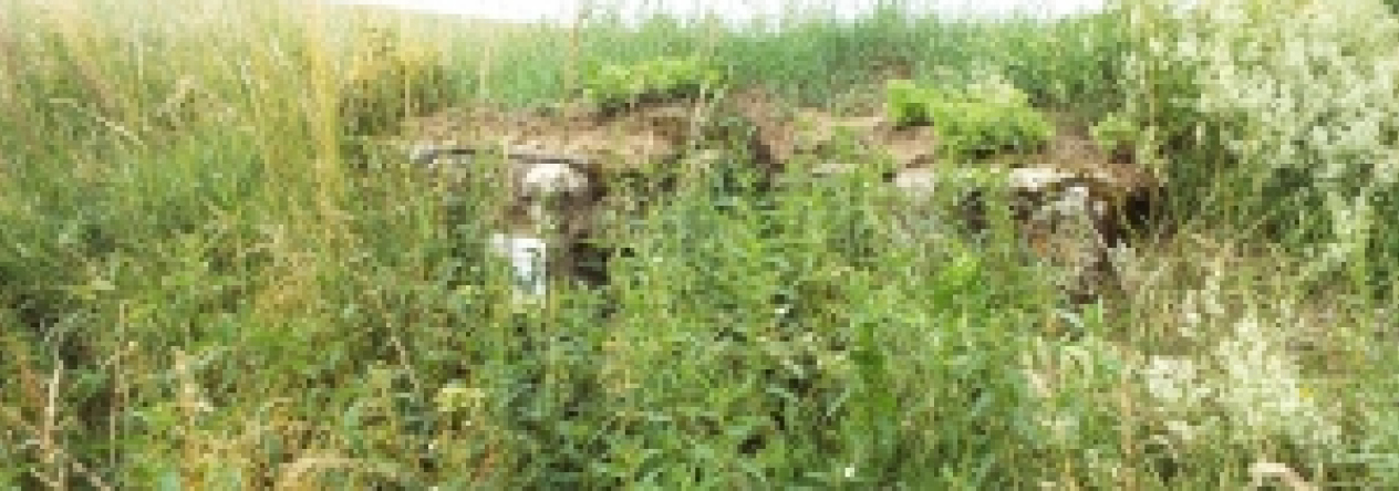 marketa-vec-6121-prehled