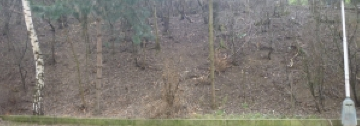 michle-pc-639-2-prehled