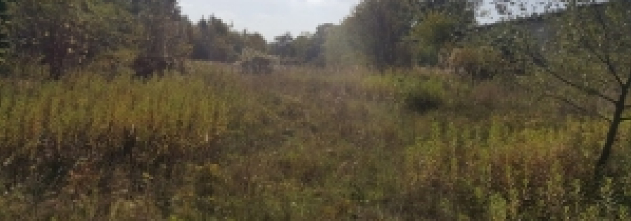 mikulov-na-morave-pc-2532-19-113-prehled