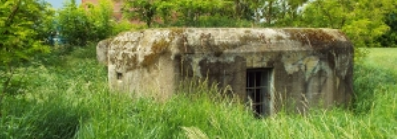 mikulov-na-morave-vec-719ol-prehled