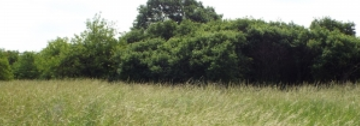 mikulov-na-morave-vec-732ol-prehled