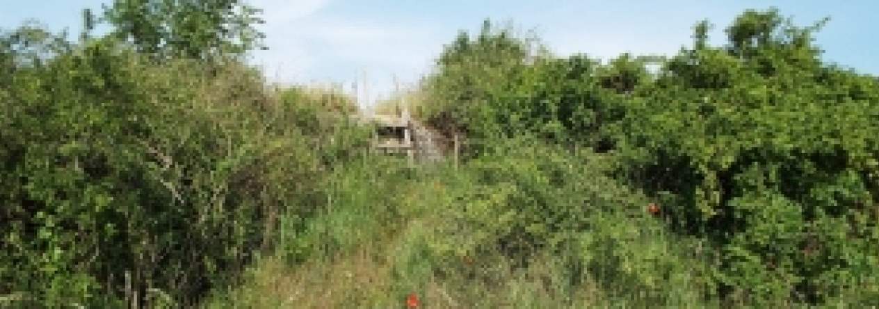 mikulov-na-morave-vec-734ol-prehled