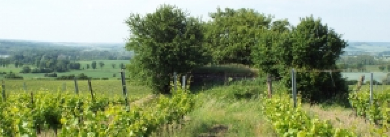 mikulov-na-morave-vec-739ol-prehled