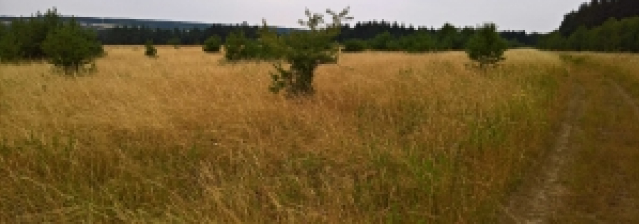 milikov-u-stribra-pc-1223-4-1249-prehled