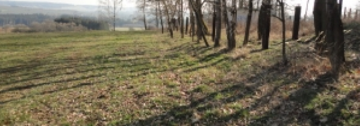 necice-pc-198-7-prehled