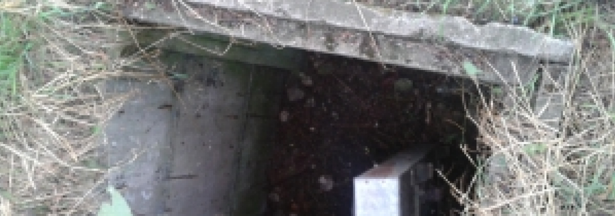 novosedly-na-morave-vec-647ol-prehled