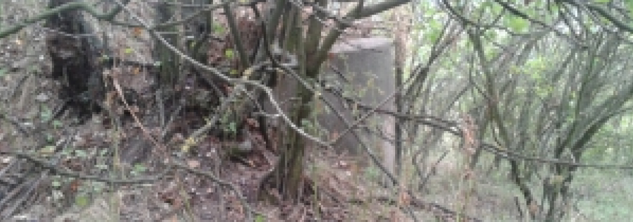 novosedly-na-morave-vec-652ol-prehled