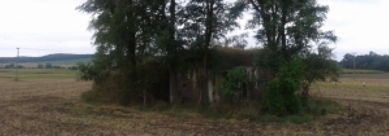 novosedly-na-morave-vec-654ol-prehled