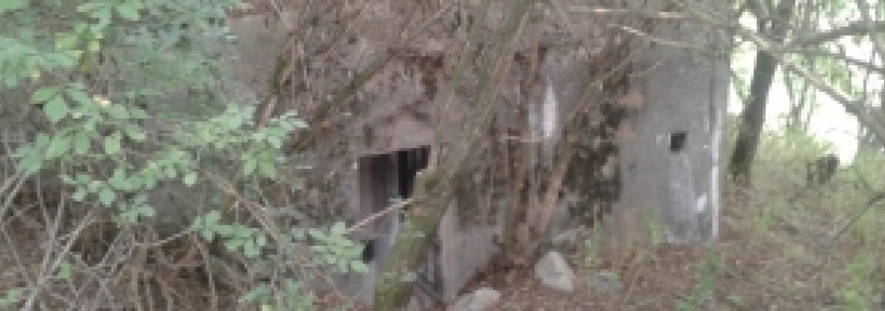 novosedly-na-morave-vec-655ol-prehled