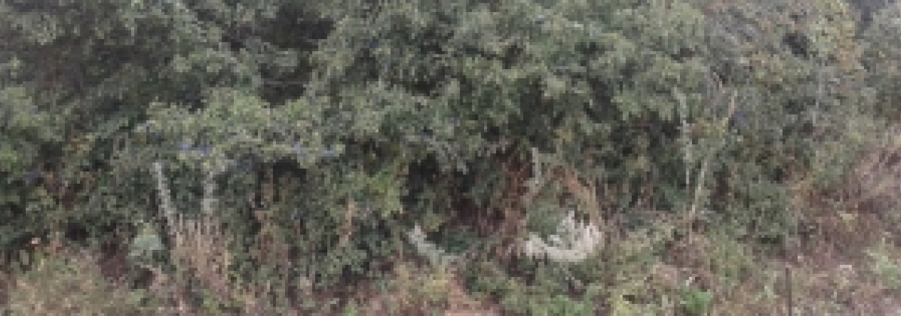 novosedly-na-morave-vec-659ol-prehled