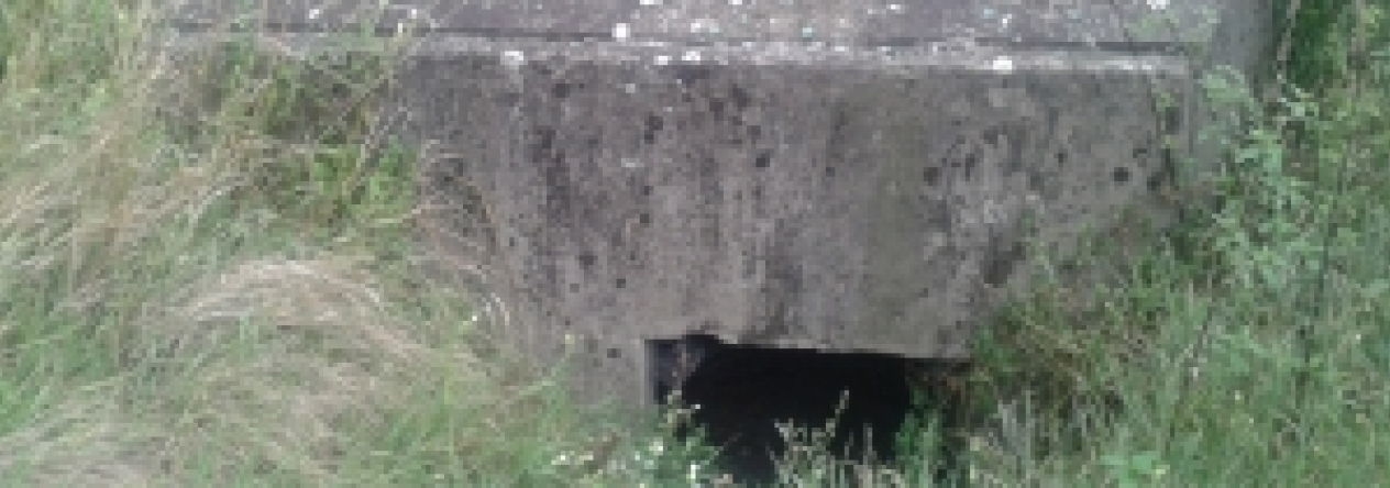 novosedly-na-morave-vec-662ol-prehled