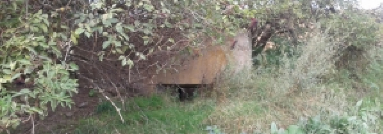 novosedly-na-morave-vec-667aol-prehled