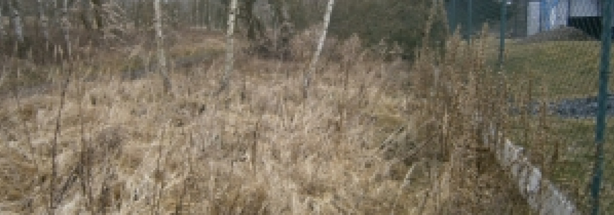 novy-hradec-kralove-pc-942-56-prehled