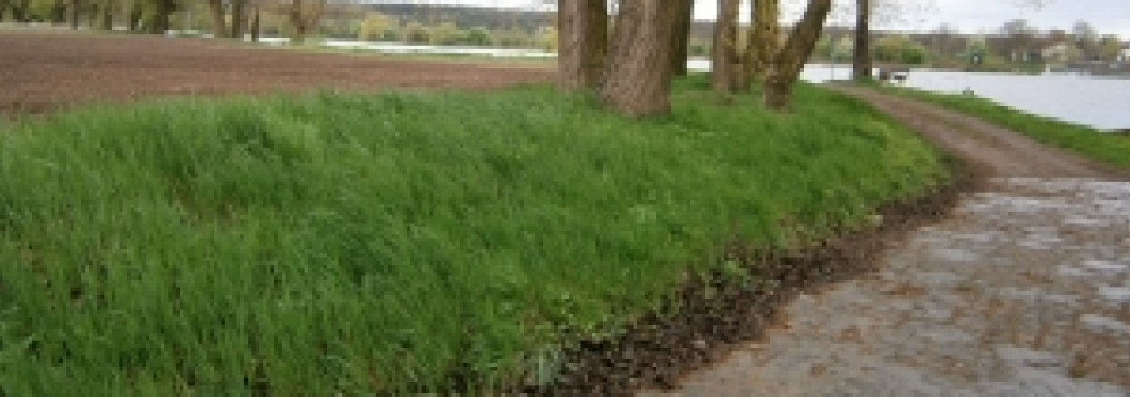 nucnice-pc-243-3-5-prehled