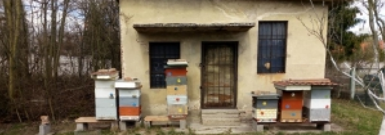 pardubicky-st-492-pc-390-15-prehled