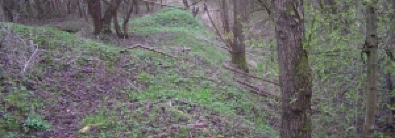 pasinka-pc-161-1-166-14-15-16-17-18-19-prehled