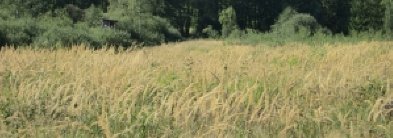 pistov-u-jihlavy-pc-485-12-13-44-prehled