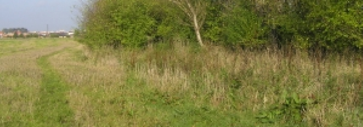 plana-u-ceskych-budejovic-pc-1469-339-prehled