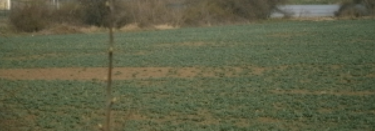 podborany-pc-1906-3-37-vroutek-pc-6430-prehled