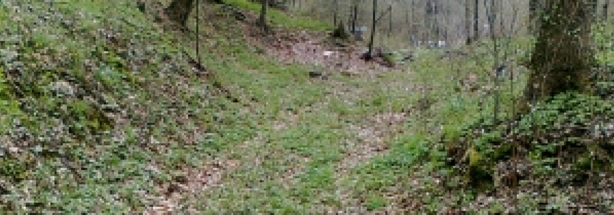 podhori-na-morave-pc-982-prehled