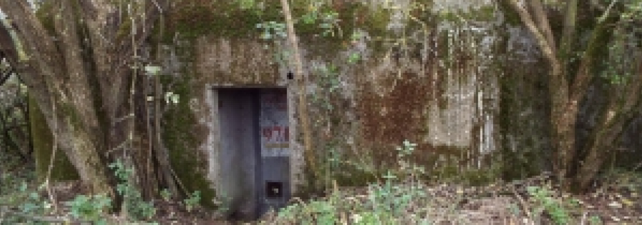 pohorelice-nad-jihlavou-vec-971ol-prehled