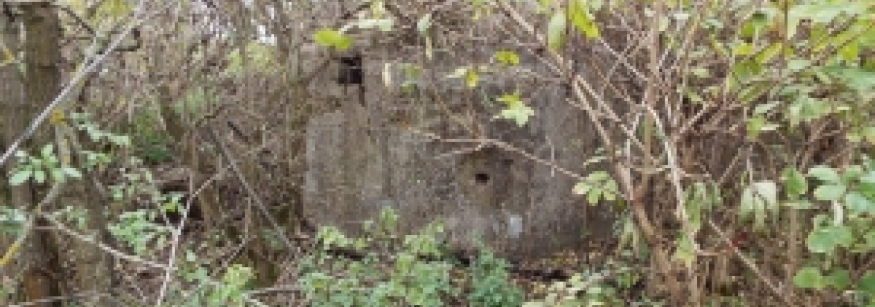 pohorelice-nad-jihlavou-vec-974ol-prehled