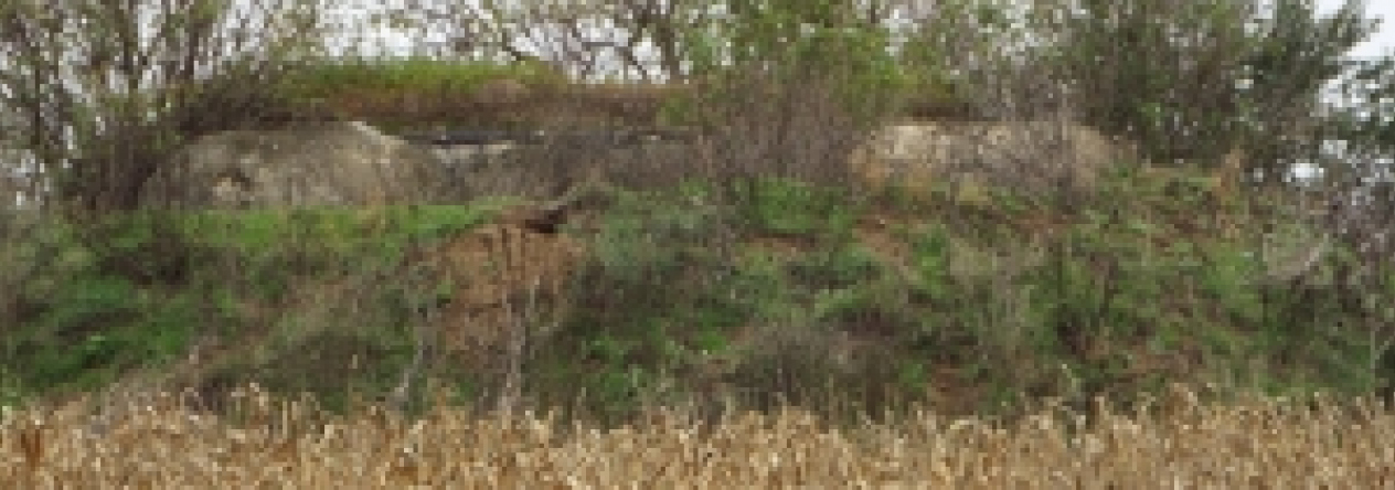 pohorelice-nad-jihlavou-vec-976ol-prehled