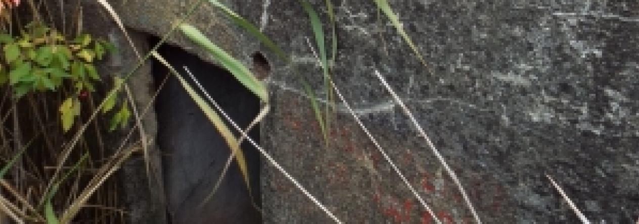 pohorelice-nad-jihlavou-vec-989ol-prehled