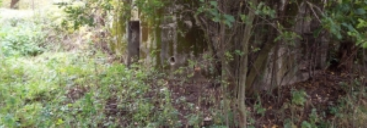 pohorelice-nad-jihlavou-vec-992ol-prehled