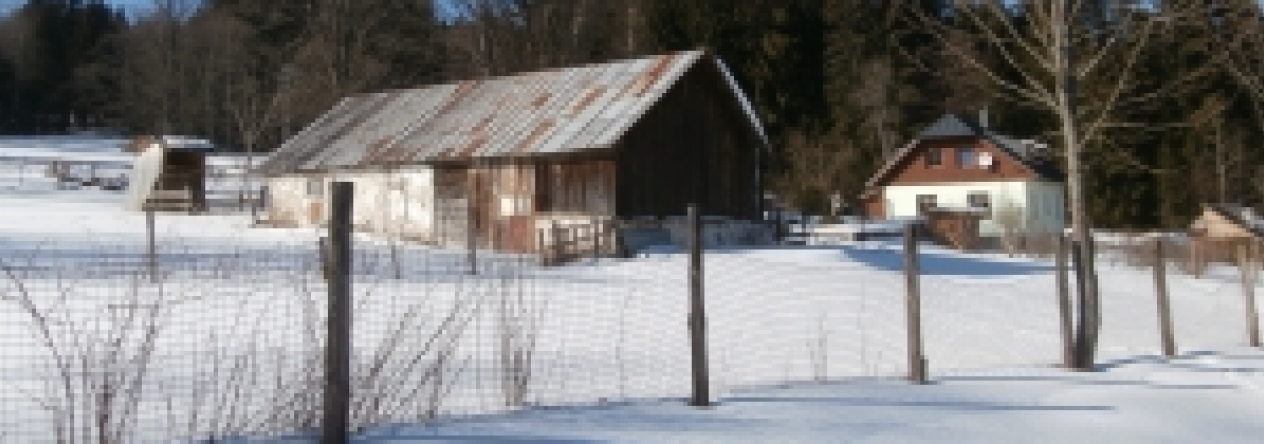 prasily-pc-2142-prehled