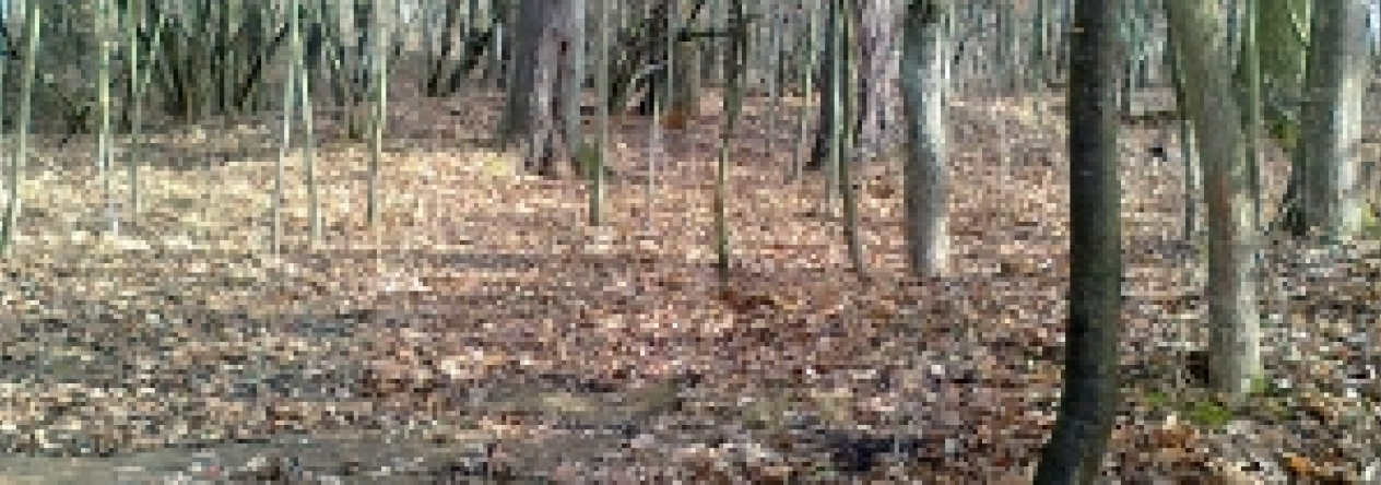 praslavice-u-olomouce-pc-1240-69-70-prehled