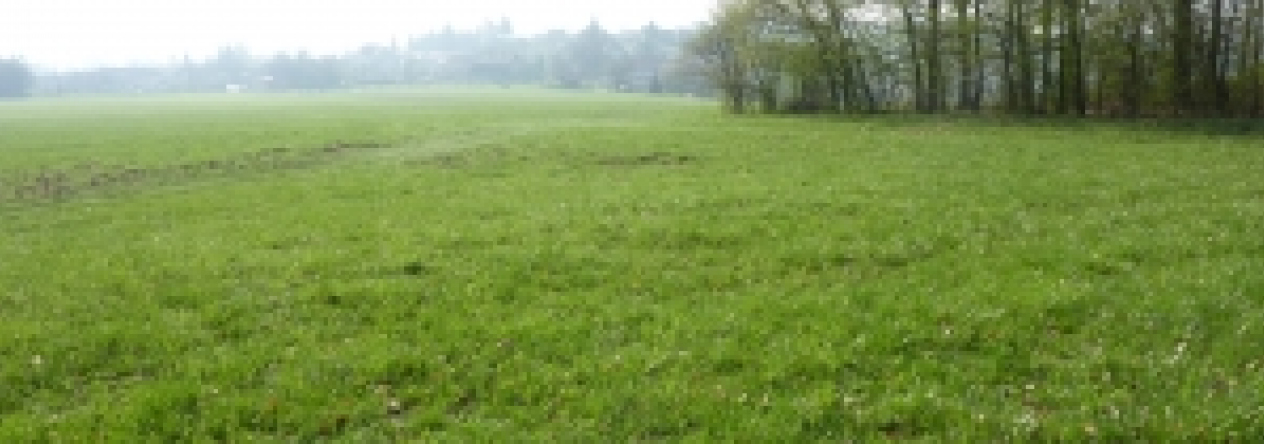 prostejovicky-pc-45-4-49-2-442-10-prehled