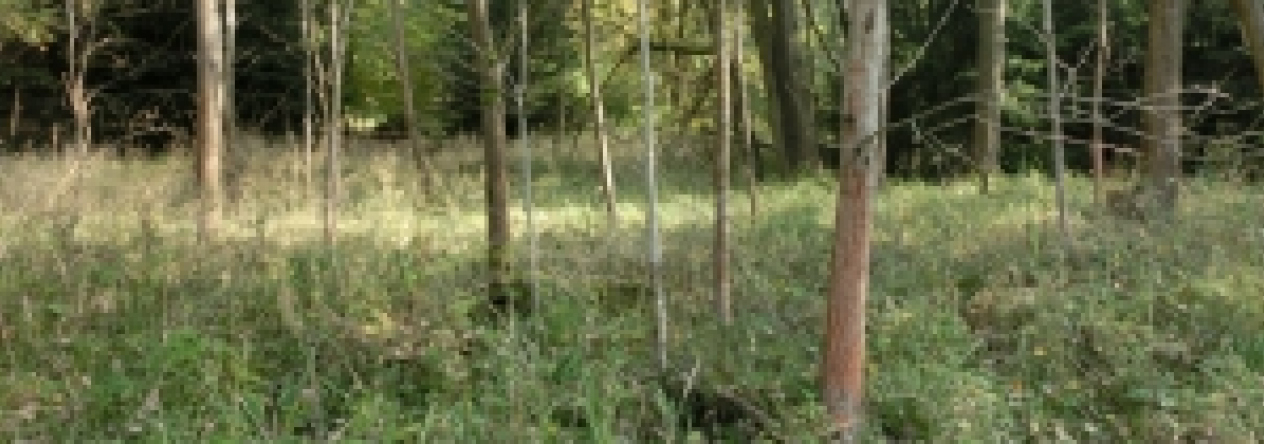 psary-pc-833-prehled