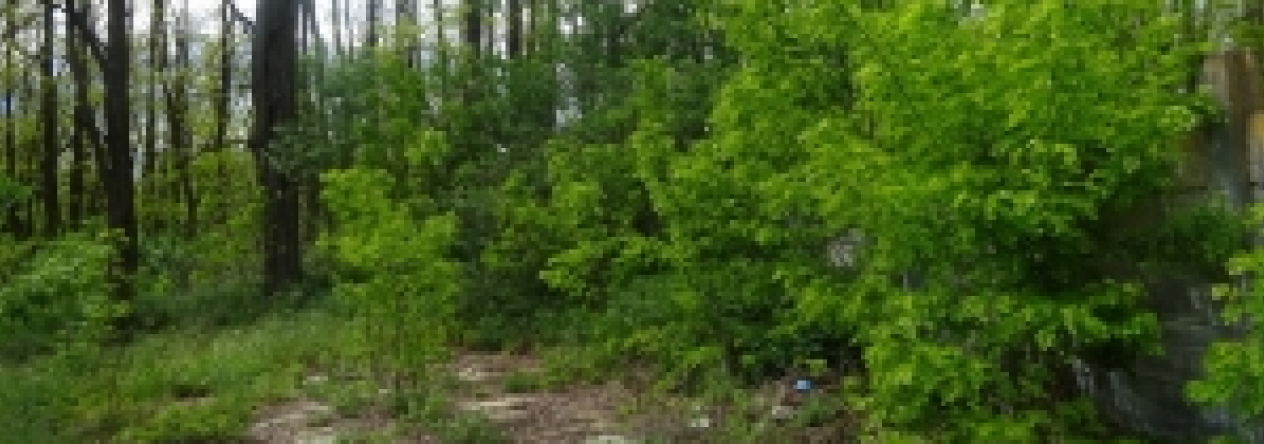 rebesovice-pc-383-29-prehled