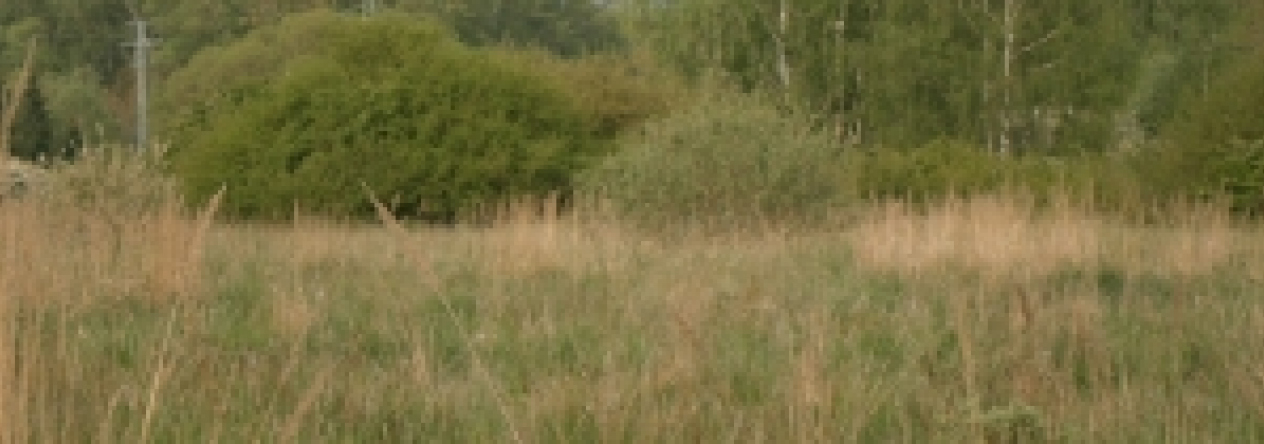 rokycany-pc-469-4-491-13-14-prehled