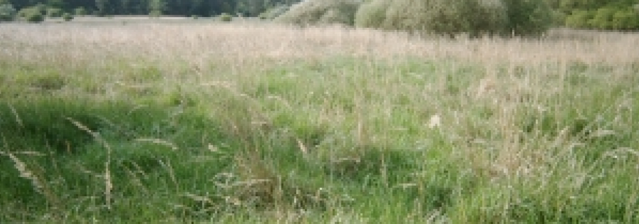 rokycany-pc-540-1-prehled