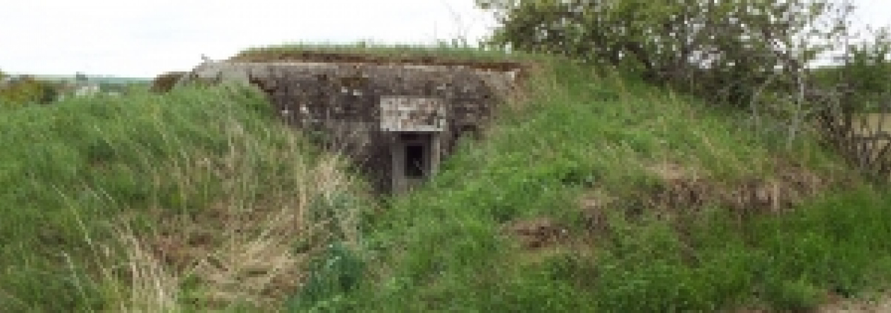 satov-vec-400ol-prehled