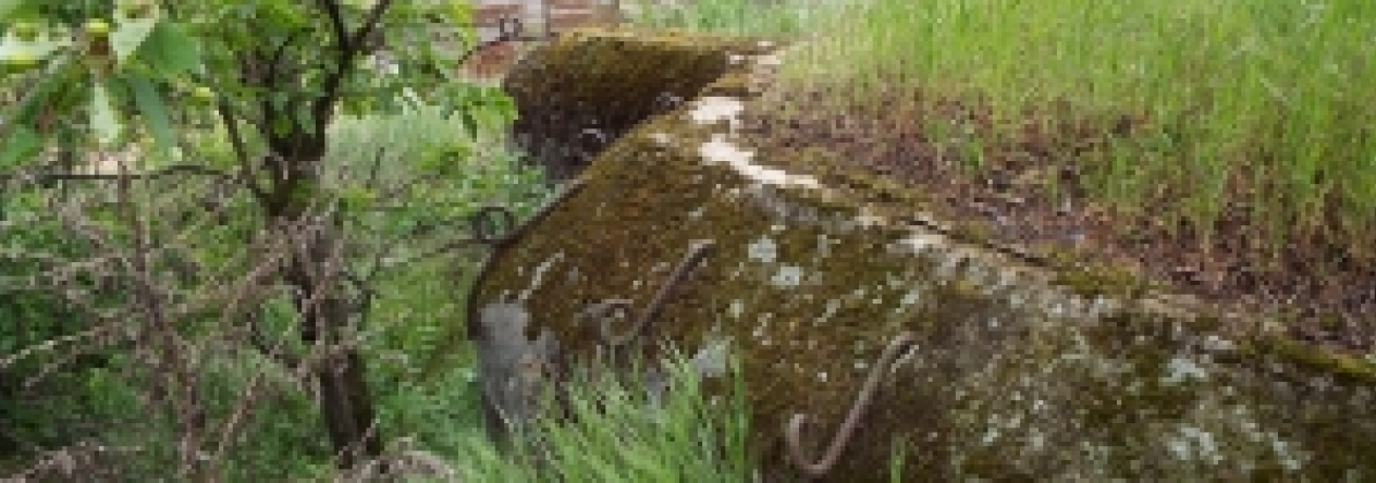 satov-vec-403ol-prehled