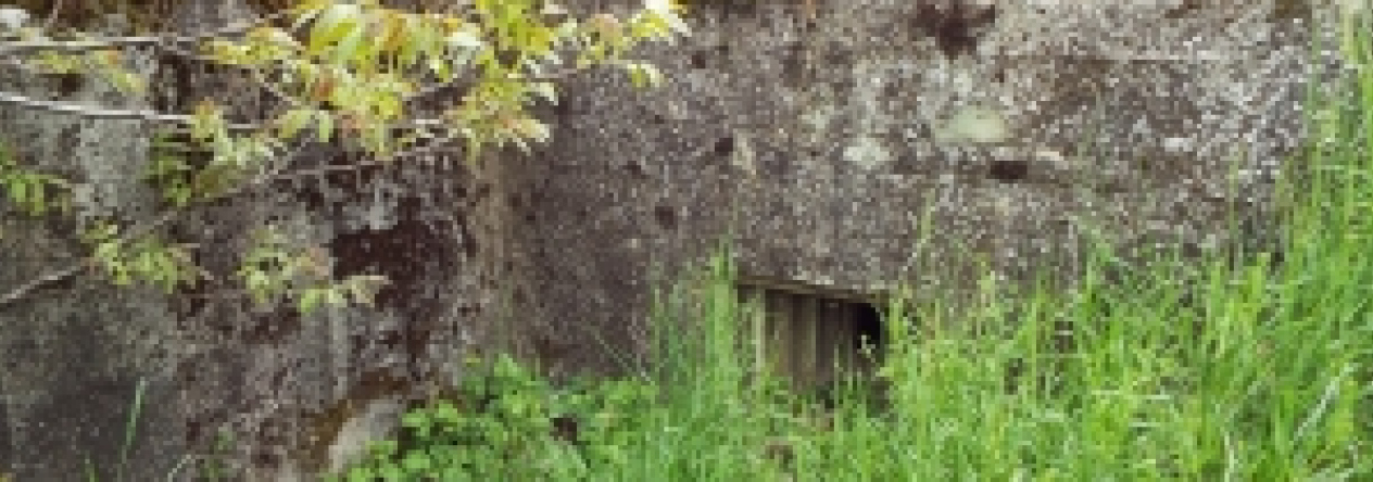 satov-vec-407ol-prehled