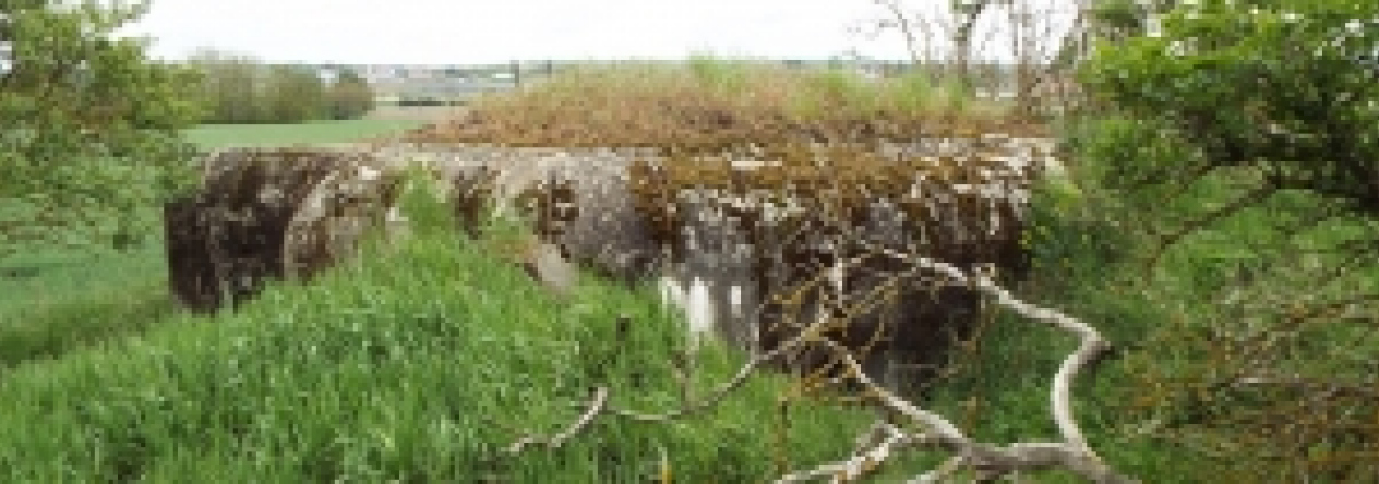 satov-vec-408ol-prehled