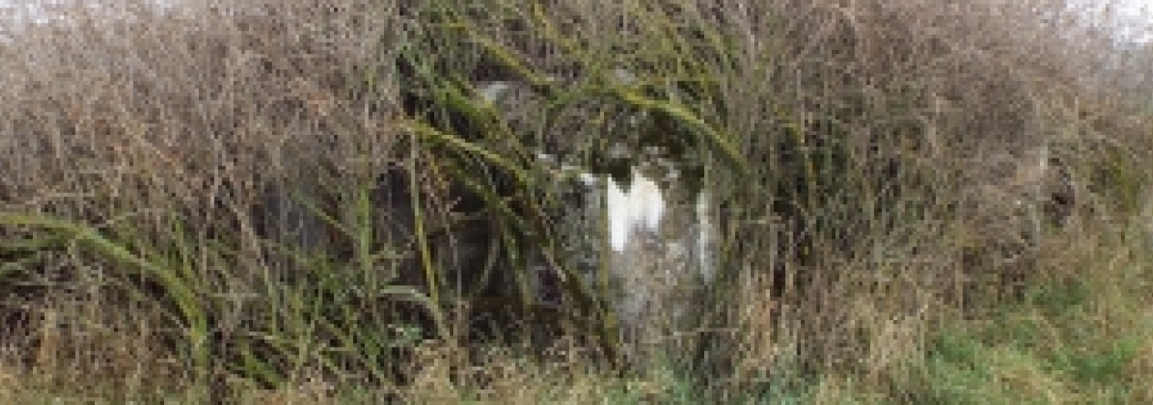 sedlec-u-mikulova-vec-756ol-prehled