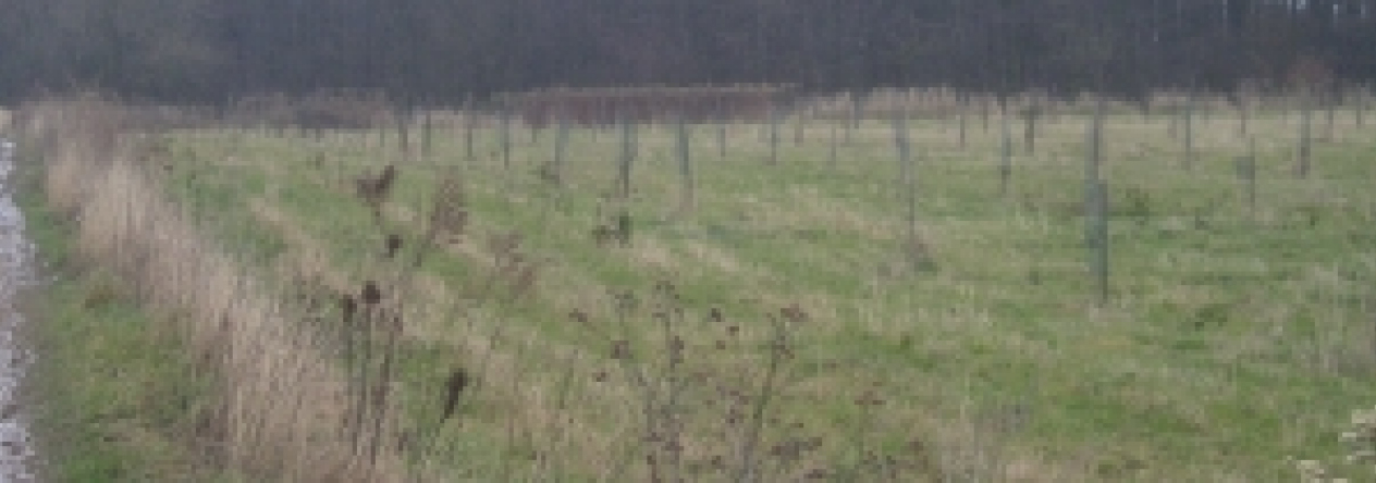 sedlnice-pc-1139-1-prehled