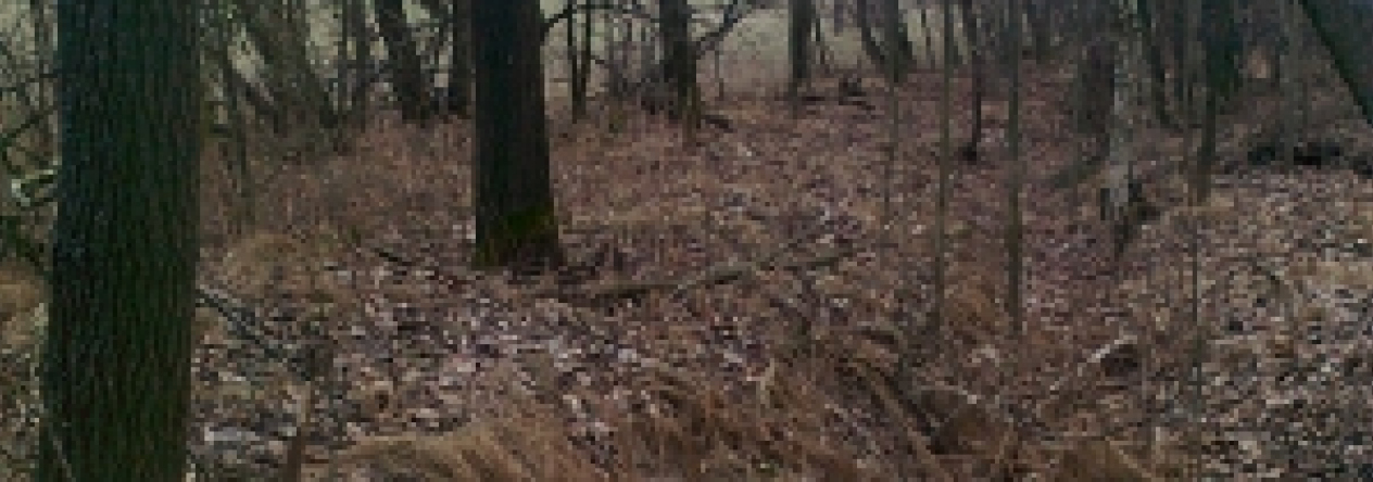 sedlnice-pc-1151-11-prehled