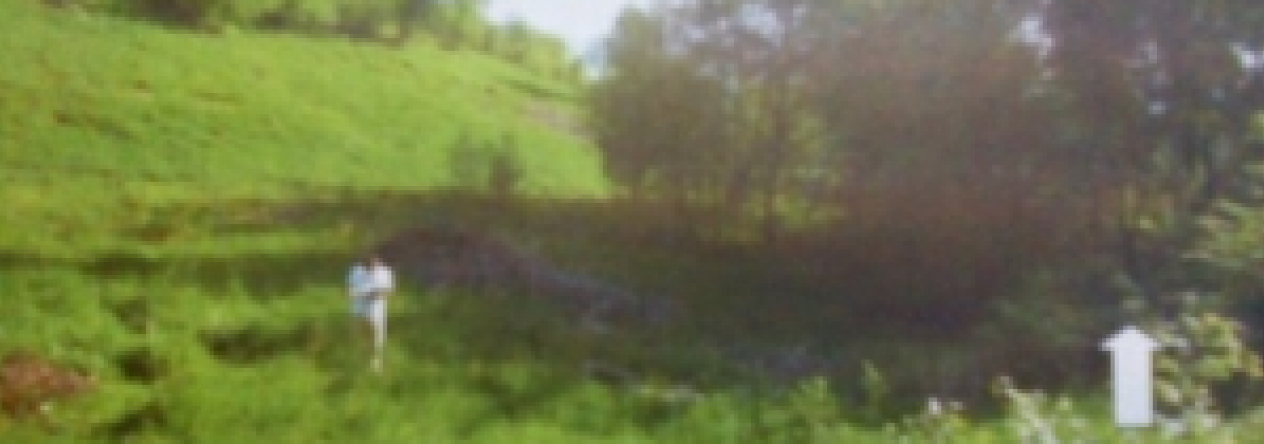 semanin-pc-452-4-454-4-prehled