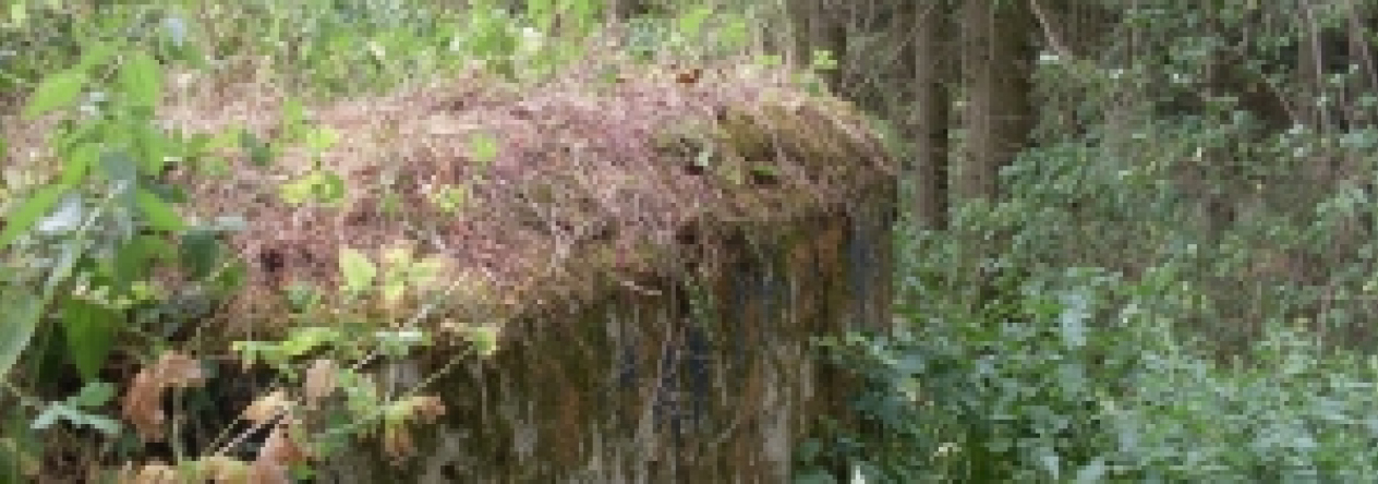 slavetin-u-slavonic-vec-6072-prehled