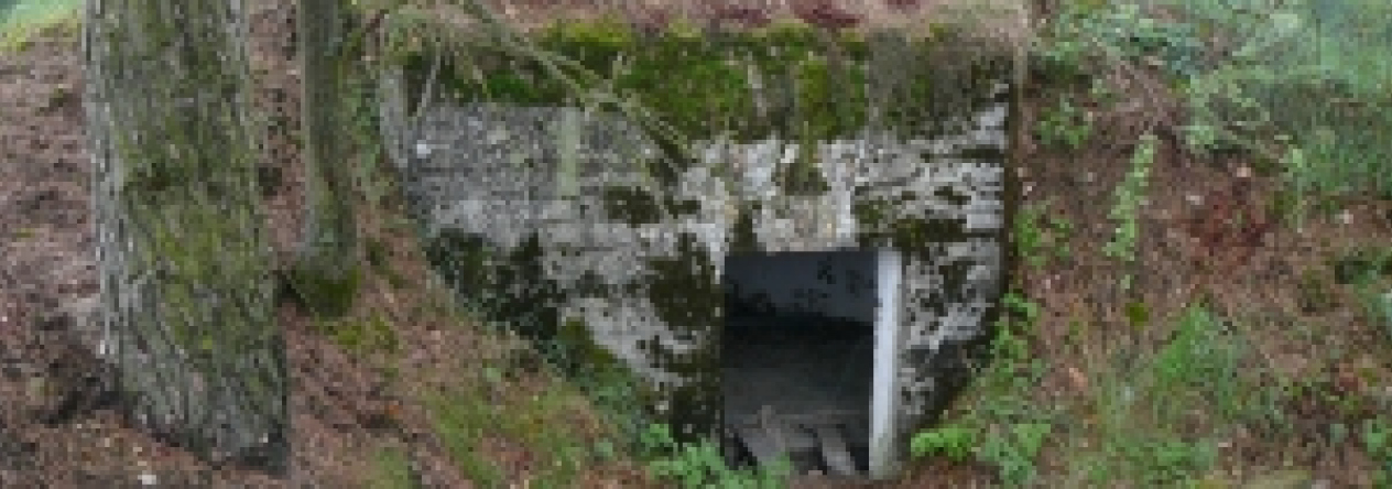 slavetin-u-slavonic-vec-6093-prehled