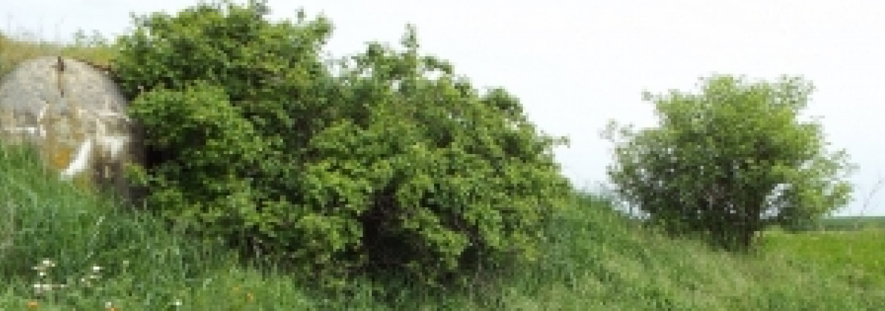 slup-vec-498ol-prehled