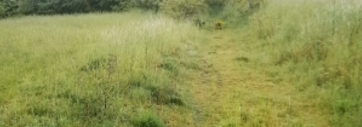 smederov-pc-130-7-13-115-6-289-5-7-10-11-prehled