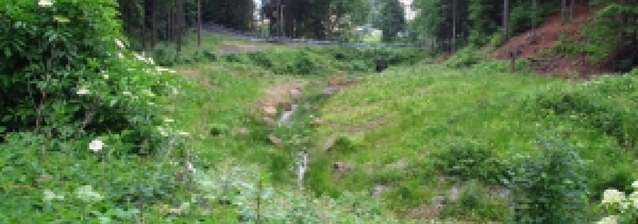 stary-harcov-pc-1242-3-4-prehled